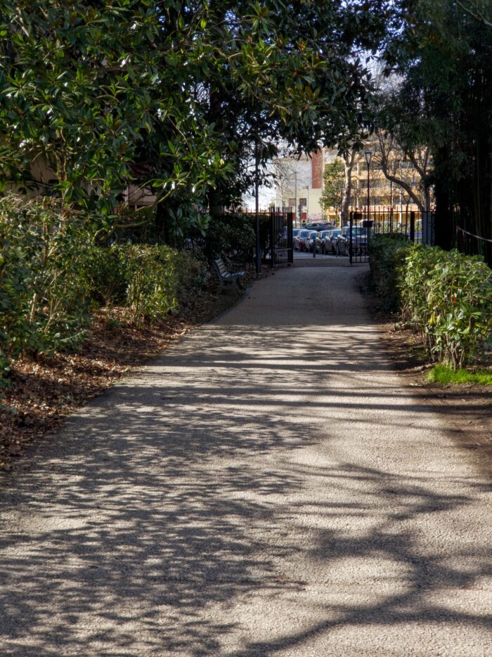 A photography taken in a park. We can see surroundings trees with there green leafs, the sun is shining, there are shadows of the trees on the ground and there's a bench a little further on. The ambiance is calm and relaxing.